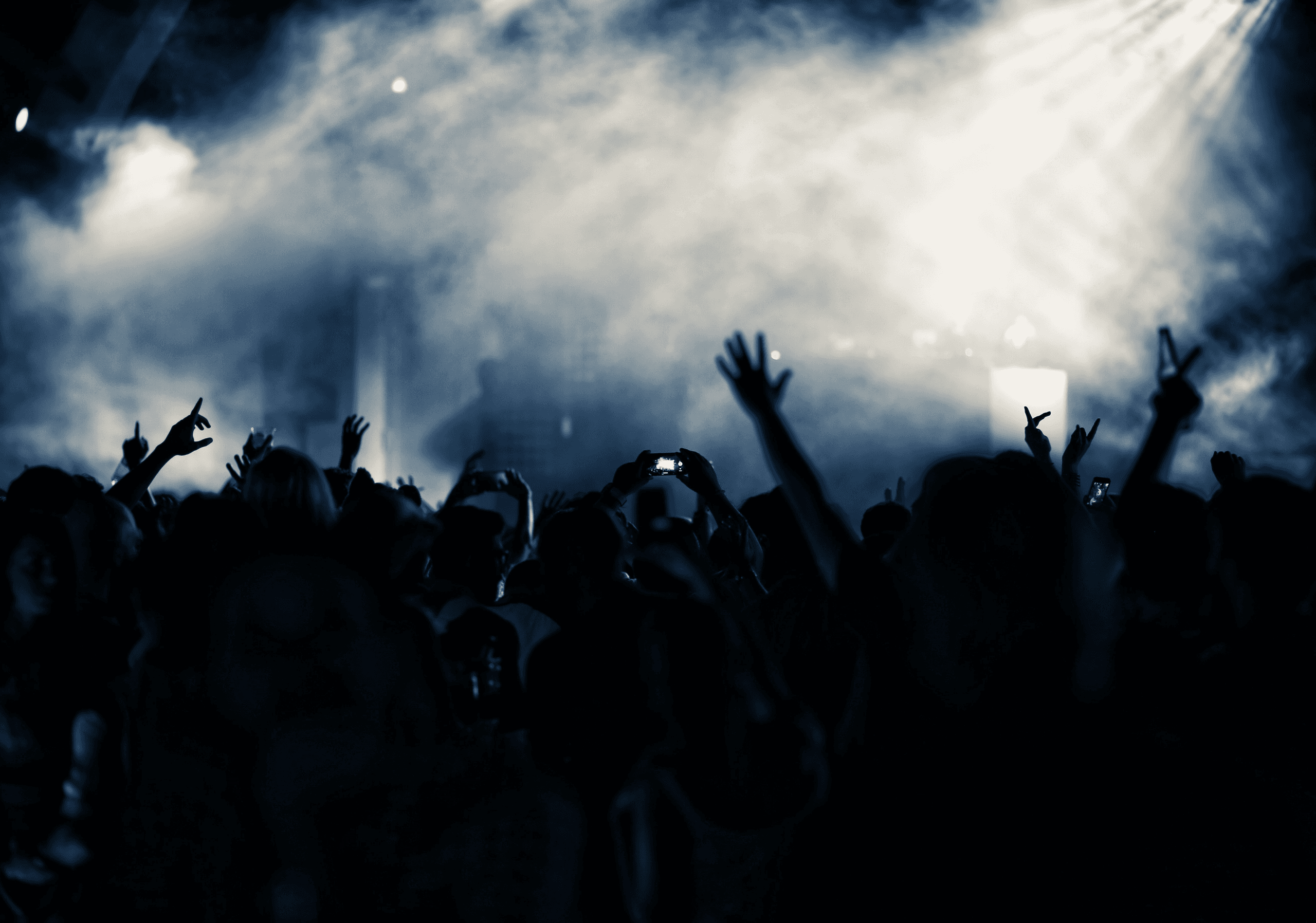 Concert crowd